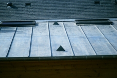 zinc (03)