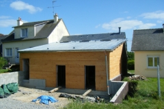 zinc (04)