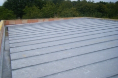 zinc (07)