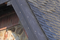 zinc (11)